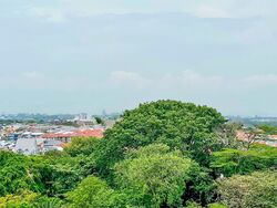 Tanah Merah Kechil Link (D16), Condominium #563231331